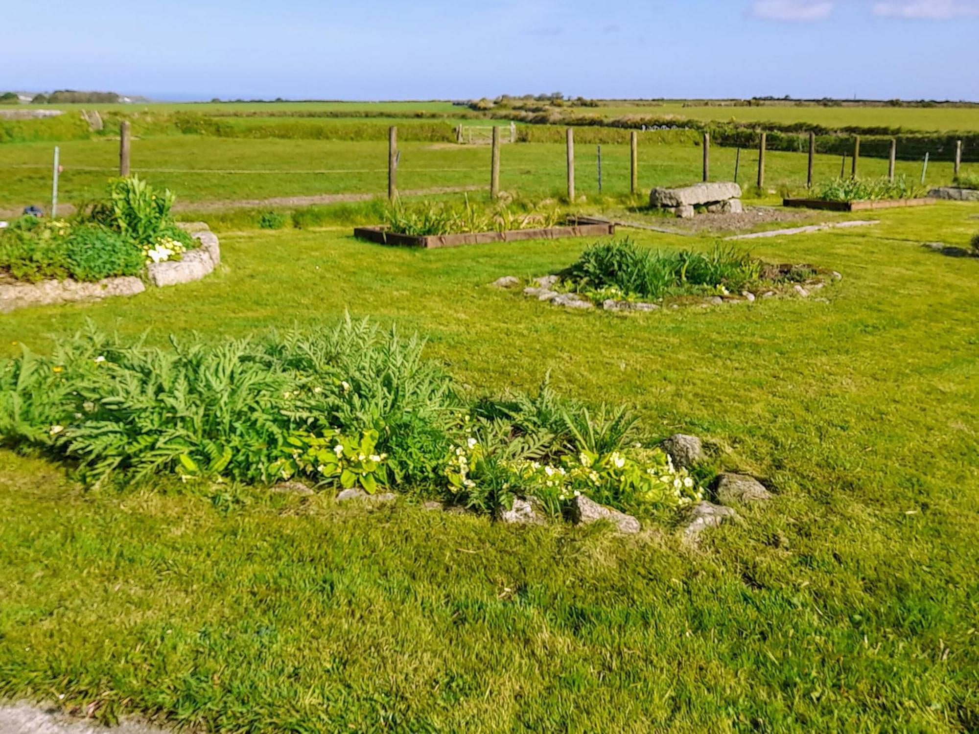 Ash Tree Cottage Carnbrea Zewnętrze zdjęcie